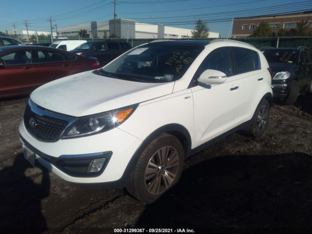 Photo 1 VIN: KNDPCCAC4E7648133 - KIA SPORTAGE 