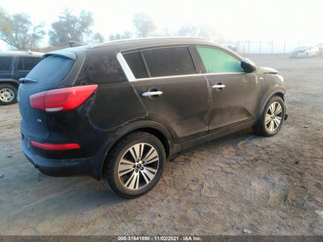 Photo 3 VIN: KNDPCCAC4E7651582 - KIA SPORTAGE 