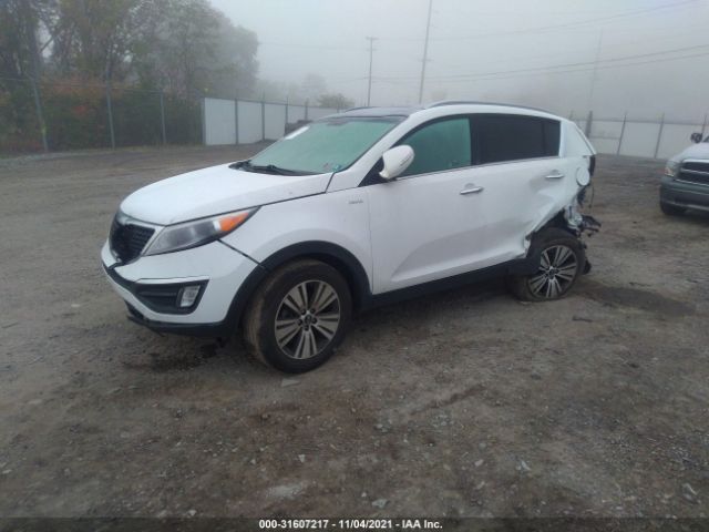 Photo 1 VIN: KNDPCCAC6G7808614 - KIA SPORTAGE 