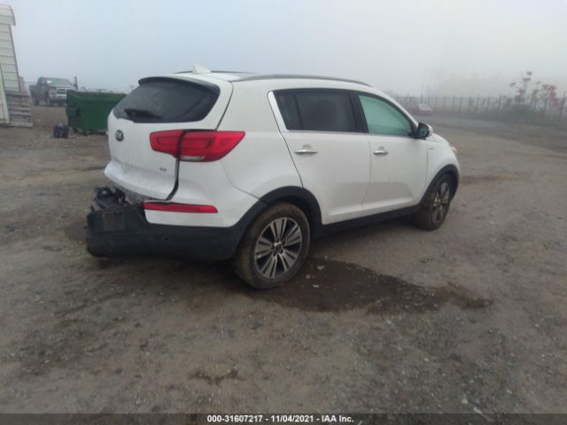 Photo 3 VIN: KNDPCCAC6G7808614 - KIA SPORTAGE 