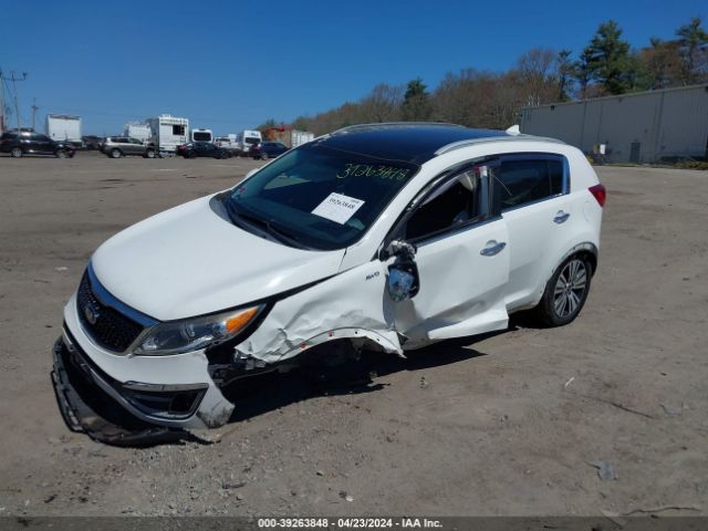 Photo 1 VIN: KNDPCCAC9F7713446 - KIA SPORTAGE 