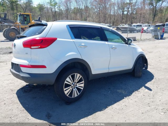 Photo 3 VIN: KNDPCCAC9F7713446 - KIA SPORTAGE 