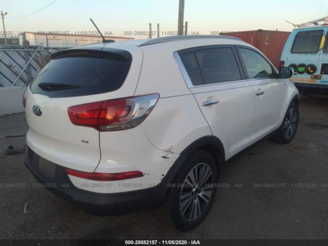 Photo 3 VIN: KNDPCCAC9G7801253 - KIA SPORTAGE 