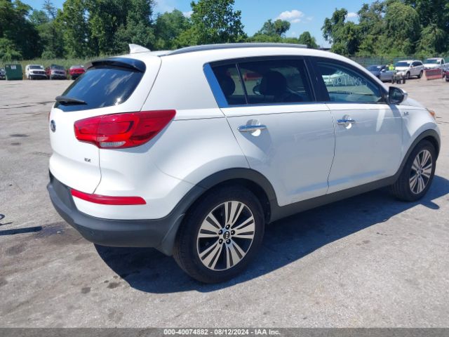 Photo 3 VIN: KNDPCCAC9G7828064 - KIA SPORTAGE 