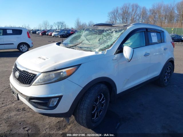 Photo 1 VIN: KNDPCCACXE7566567 - KIA SPORTAGE 