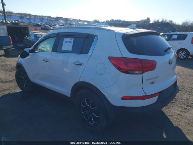 Photo 2 VIN: KNDPCCACXE7566567 - KIA SPORTAGE 