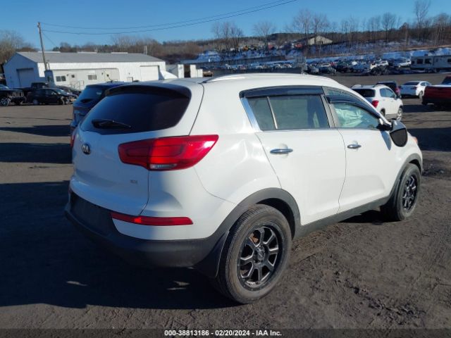 Photo 3 VIN: KNDPCCACXE7566567 - KIA SPORTAGE 