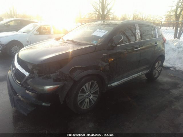 Photo 1 VIN: KNDPCCACXF7692705 - KIA SPORTAGE 