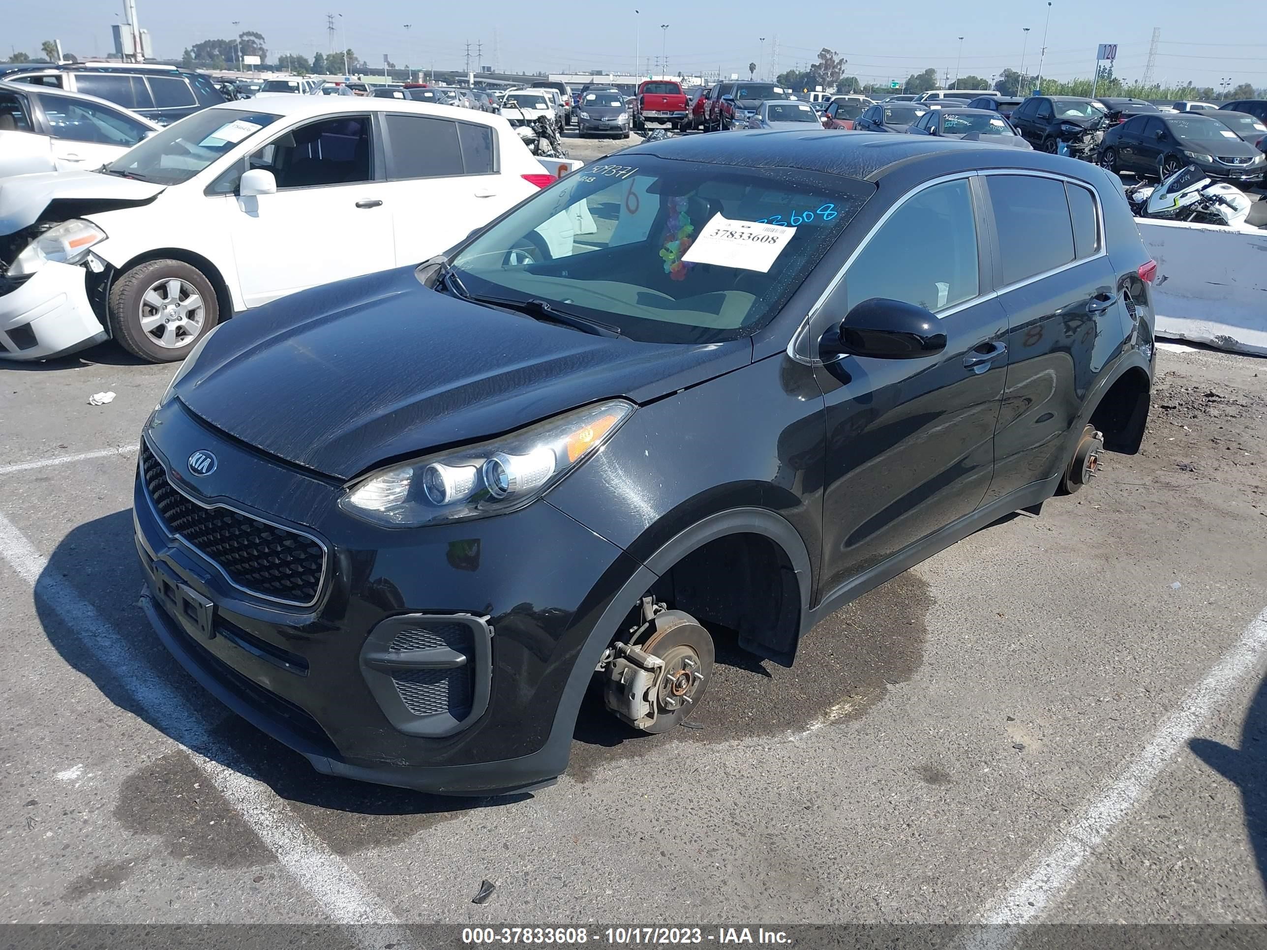 Photo 1 VIN: KNDPM3AC0H7219315 - KIA SPORTAGE 