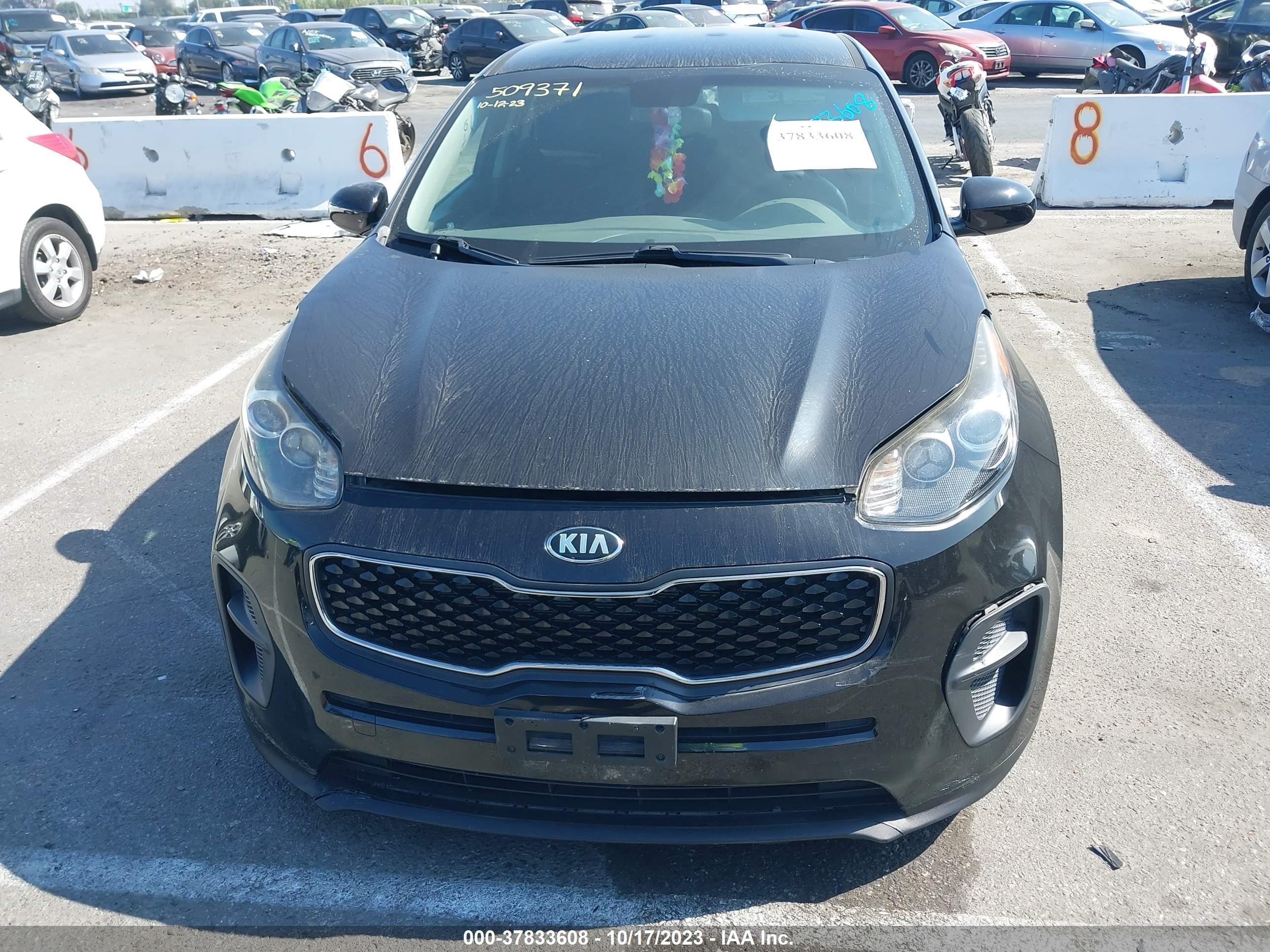 Photo 10 VIN: KNDPM3AC0H7219315 - KIA SPORTAGE 