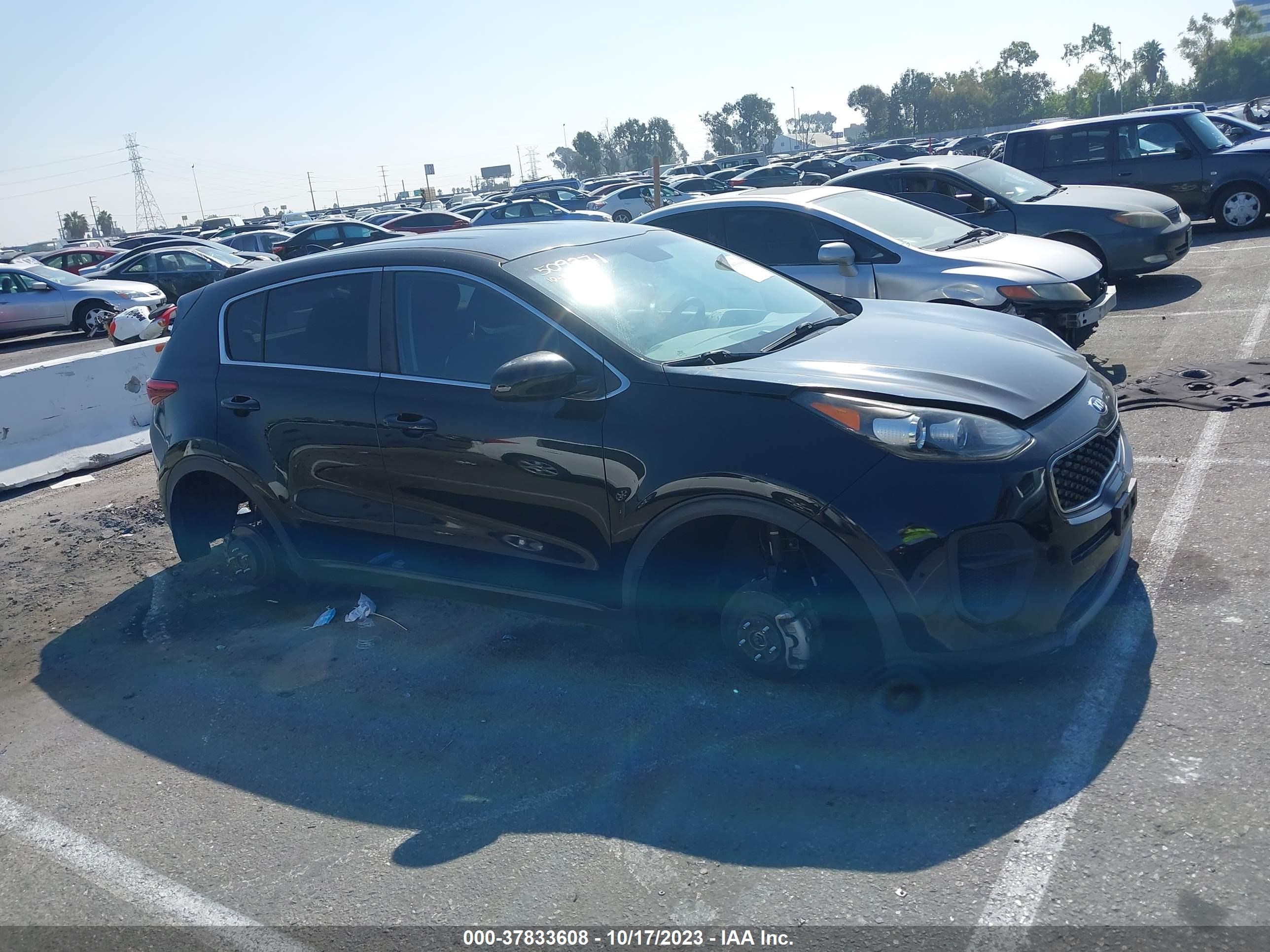 Photo 11 VIN: KNDPM3AC0H7219315 - KIA SPORTAGE 