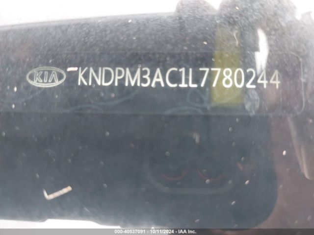 Photo 8 VIN: KNDPM3AC1L7780244 - KIA SPORTAGE 