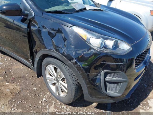 Photo 5 VIN: KNDPM3AC2H7120561 - KIA SPORTAGE 