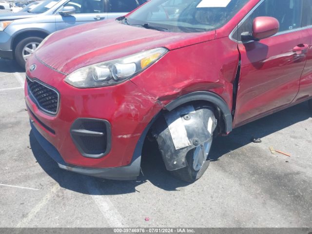 Photo 5 VIN: KNDPM3AC2H7162583 - KIA SPORTAGE 