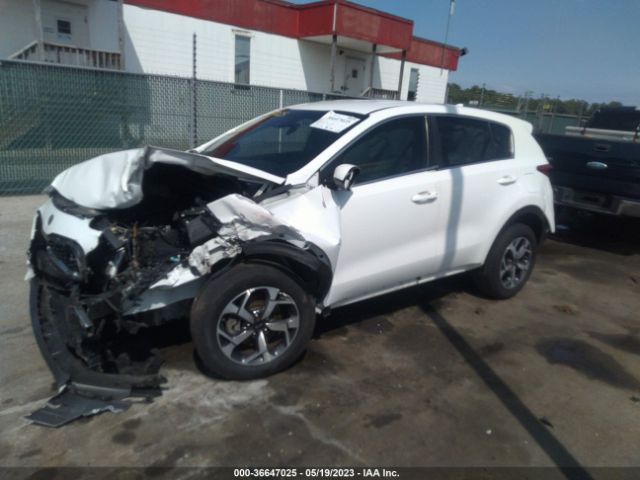 Photo 1 VIN: KNDPM3AC2L7629607 - KIA SPORTAGE 