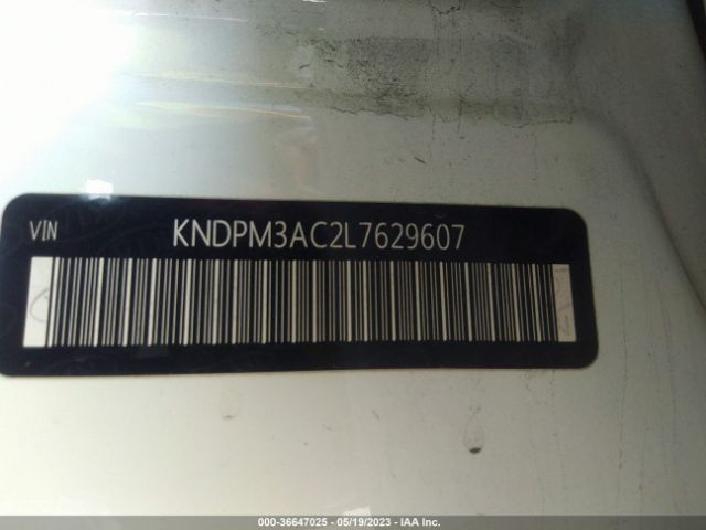 Photo 8 VIN: KNDPM3AC2L7629607 - KIA SPORTAGE 