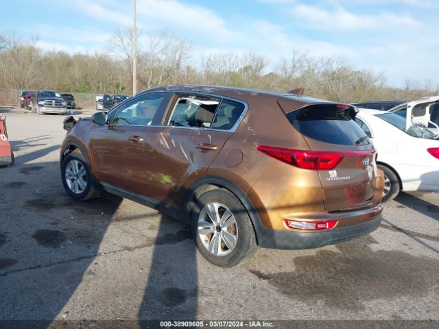 Photo 2 VIN: KNDPM3AC3H7157781 - KIA SPORTAGE 