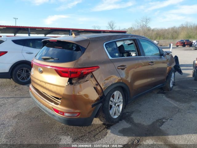 Photo 3 VIN: KNDPM3AC3H7157781 - KIA SPORTAGE 