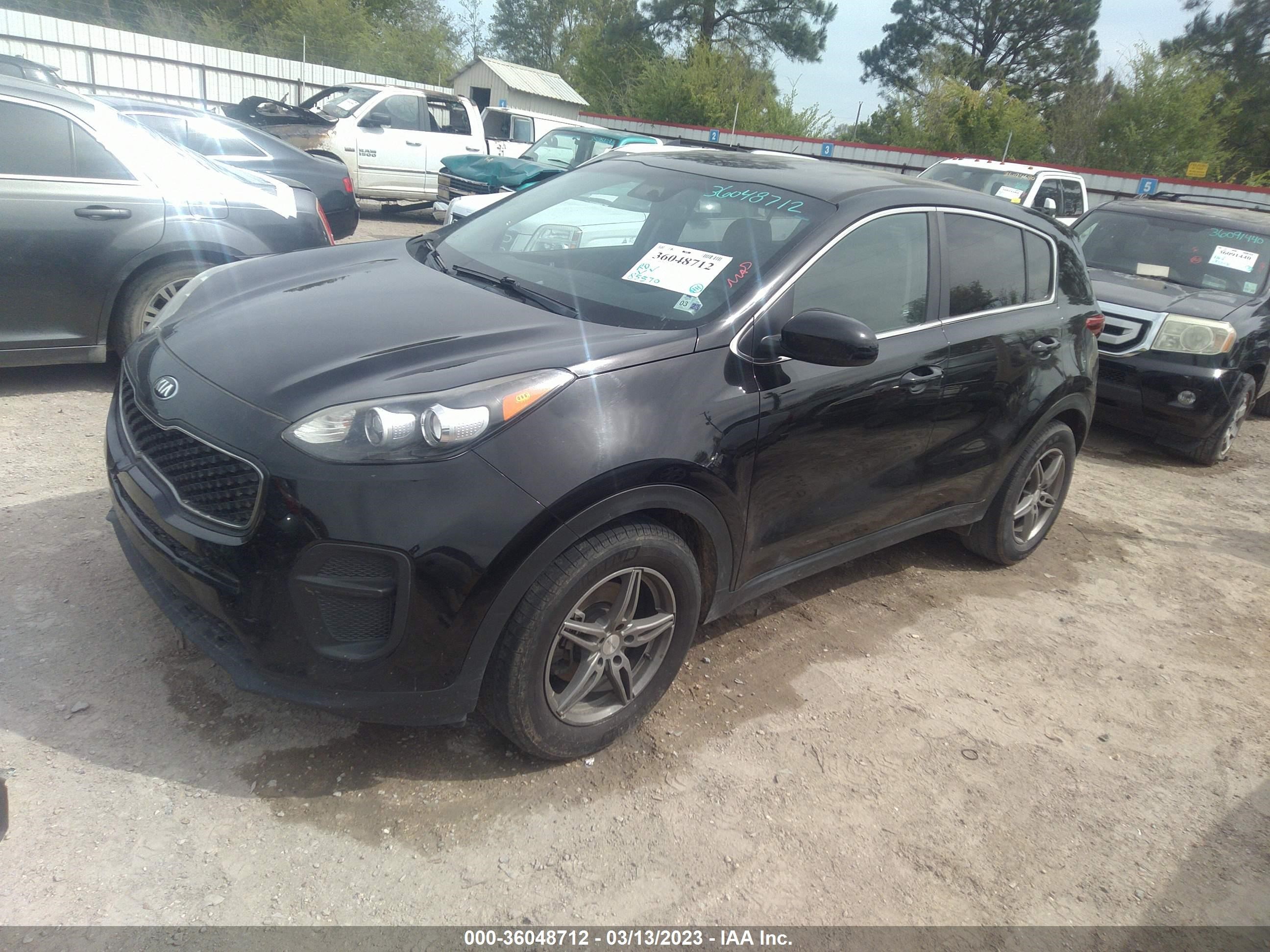 Photo 1 VIN: KNDPM3AC3K7531667 - KIA SPORTAGE 