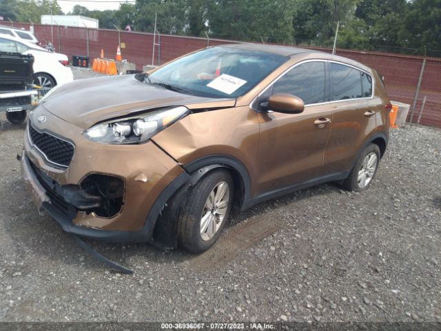 Photo 1 VIN: KNDPM3AC4H7036290 - KIA SPORTAGE 