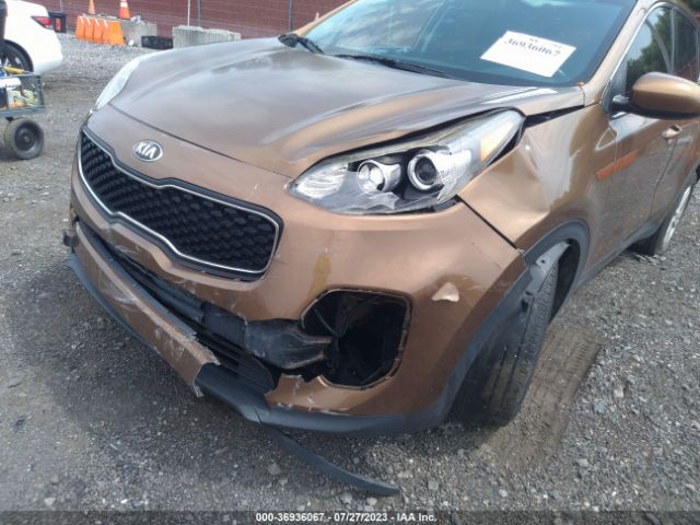 Photo 5 VIN: KNDPM3AC4H7036290 - KIA SPORTAGE 