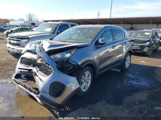 Photo 1 VIN: KNDPM3AC4H7065840 - KIA SPORTAGE 