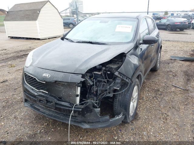 Photo 1 VIN: KNDPM3AC4H7065997 - KIA SPORTAGE 