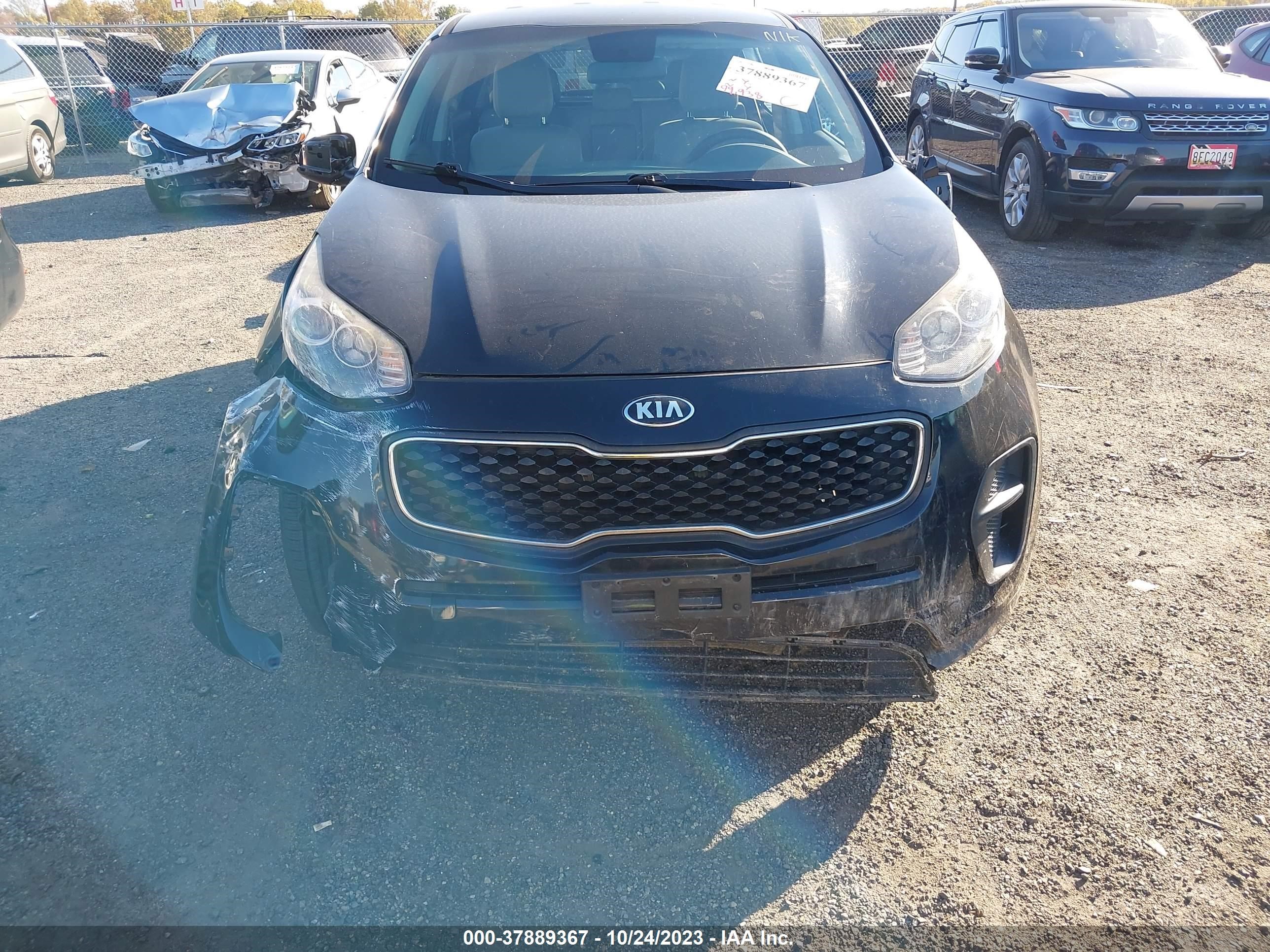 Photo 12 VIN: KNDPM3AC4H7116401 - KIA SPORTAGE 