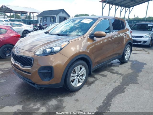 Photo 1 VIN: KNDPM3AC4H7236814 - KIA SPORTAGE 