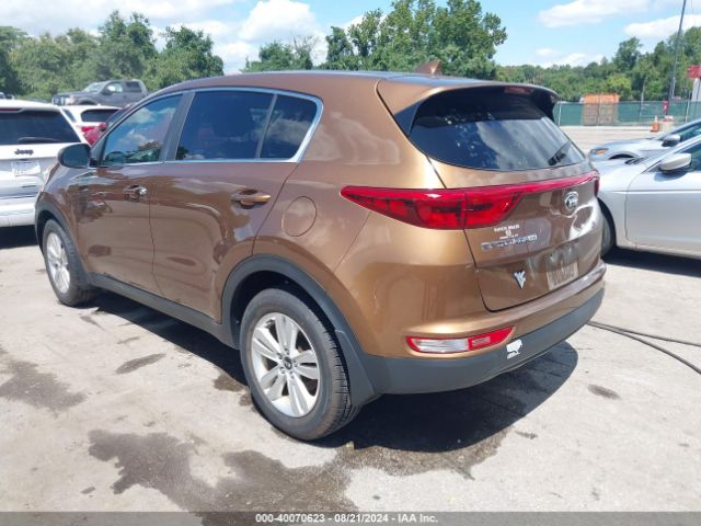 Photo 2 VIN: KNDPM3AC4H7236814 - KIA SPORTAGE 