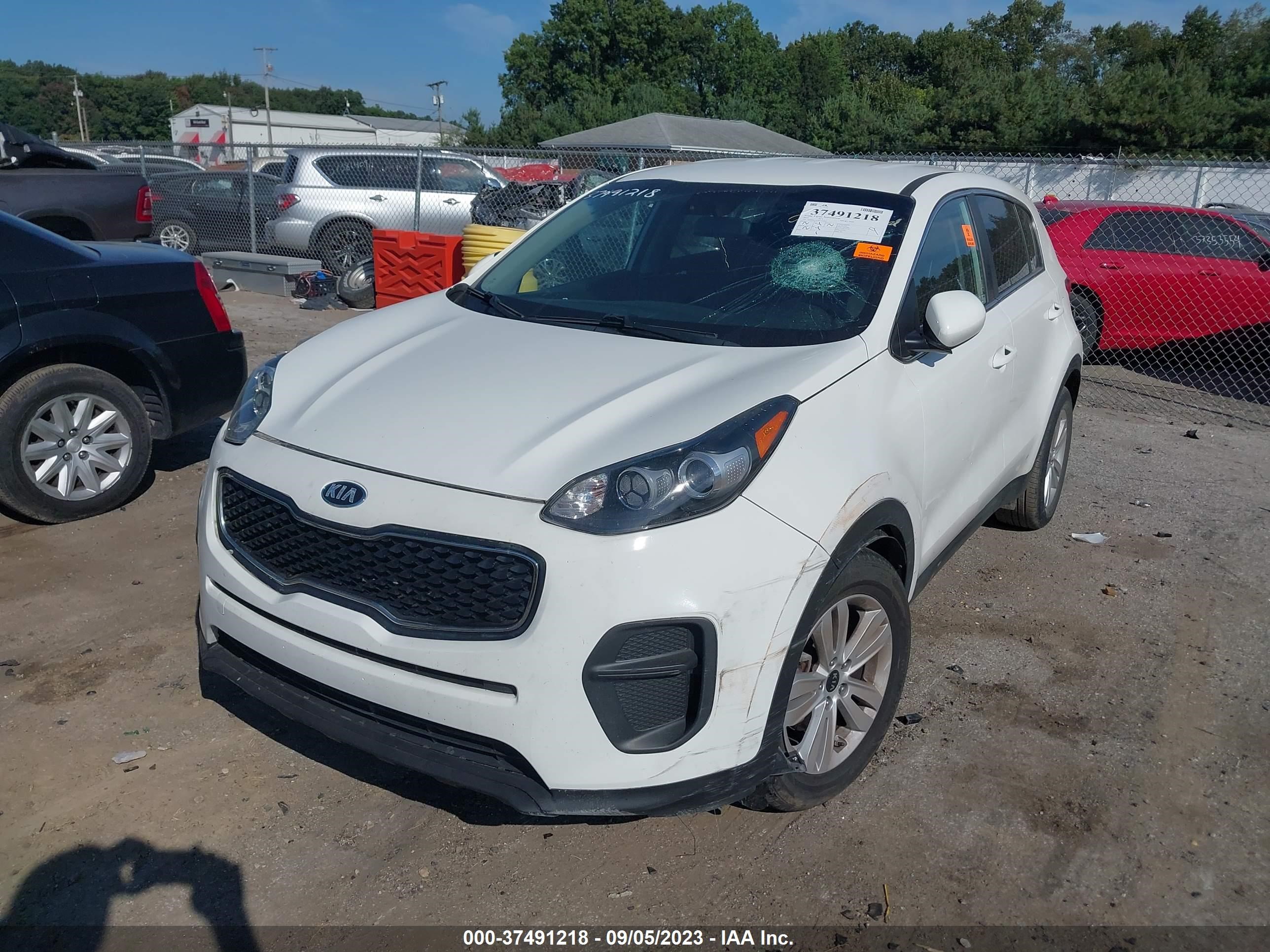 Photo 1 VIN: KNDPM3AC4K7525067 - KIA SPORTAGE 