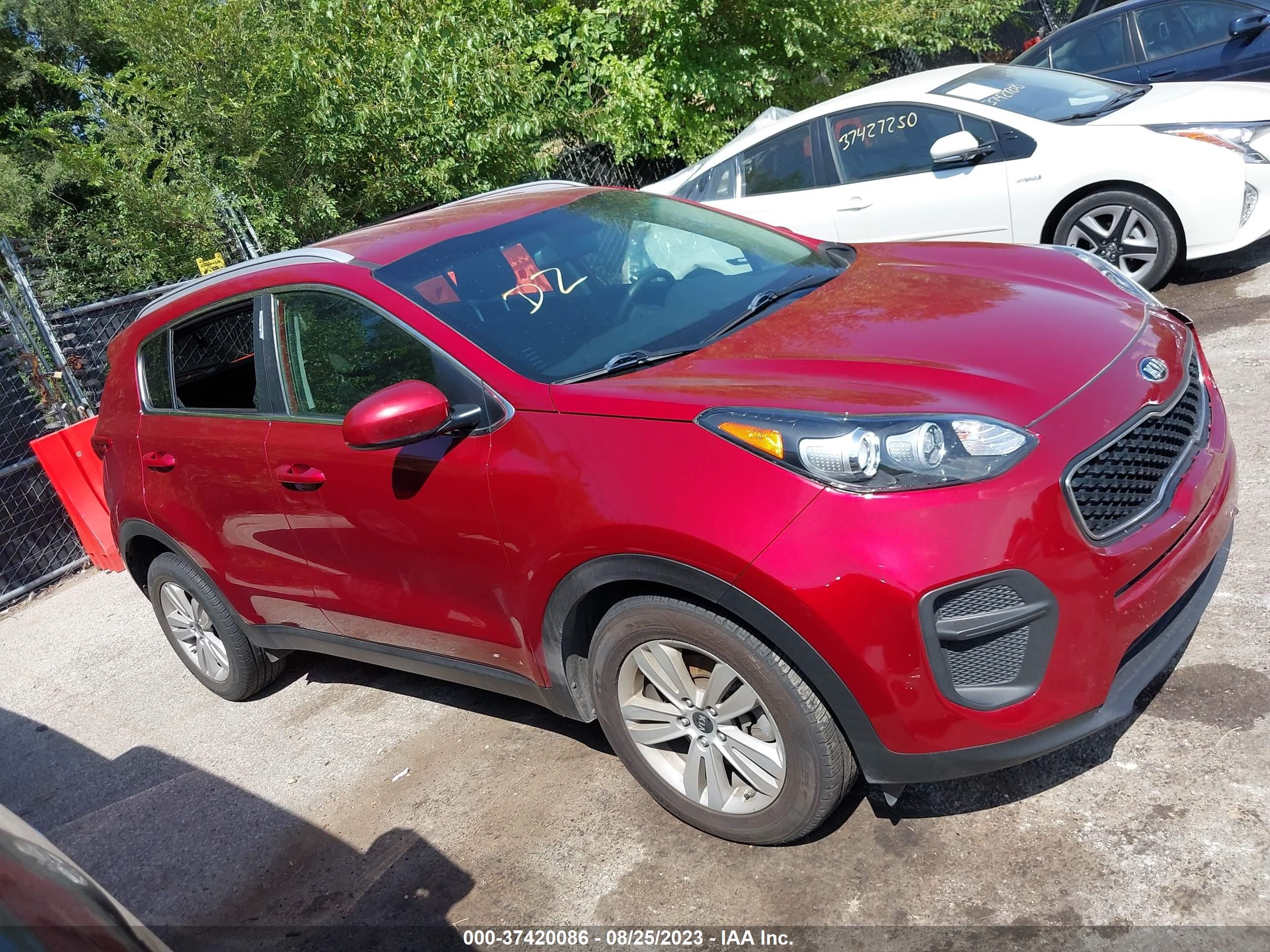 Photo 13 VIN: KNDPM3AC5H7235204 - KIA SPORTAGE 