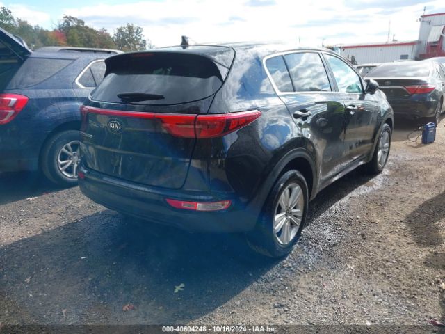 Photo 3 VIN: KNDPM3AC5K7513879 - KIA SPORTAGE 