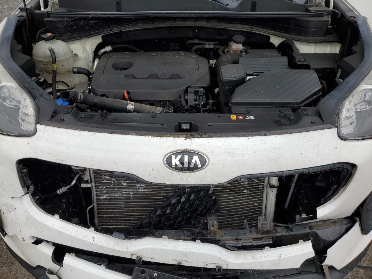 Photo 11 VIN: KNDPM3AC7H7041547 - KIA SPORTAGE 