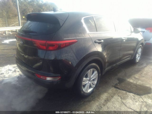 Photo 3 VIN: KNDPM3AC7H7206688 - KIA SPORTAGE 