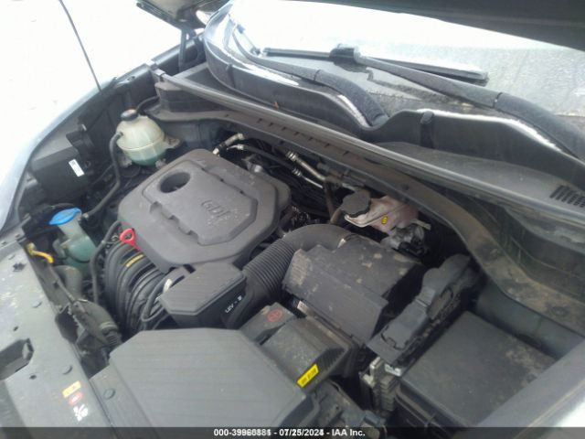 Photo 9 VIN: KNDPM3AC7J7448807 - KIA SPORTAGE 