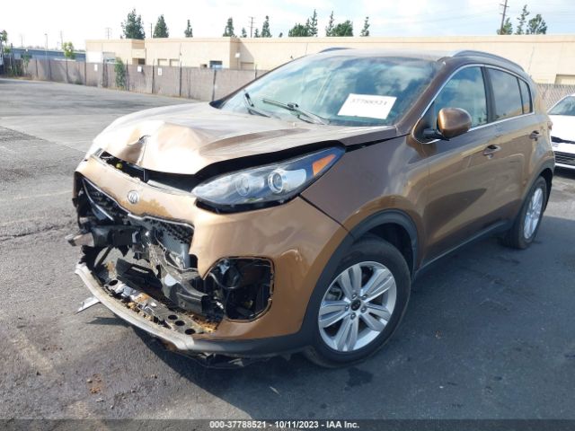 Photo 1 VIN: KNDPM3AC7K7510255 - KIA SPORTAGE 