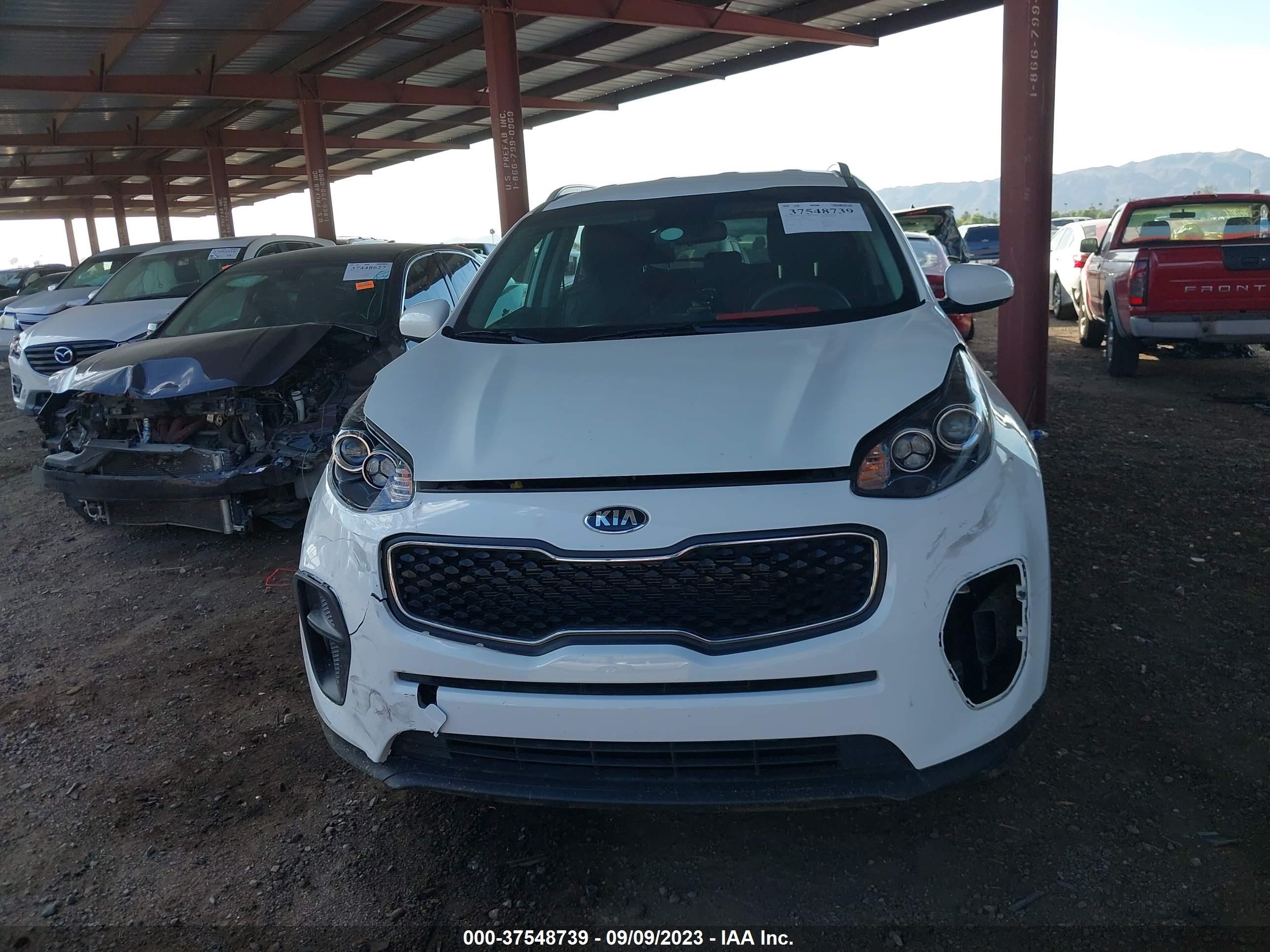 Photo 11 VIN: KNDPM3AC7K7608752 - KIA SPORTAGE 