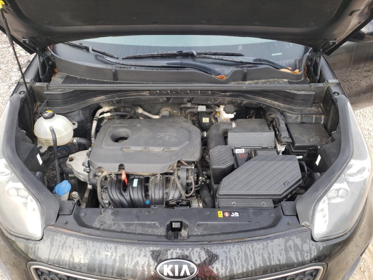 Photo 11 VIN: KNDPM3AC7K7627902 - KIA SPORTAGE 