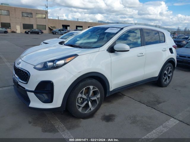 Photo 1 VIN: KNDPM3AC7M7904972 - KIA SPORTAGE 