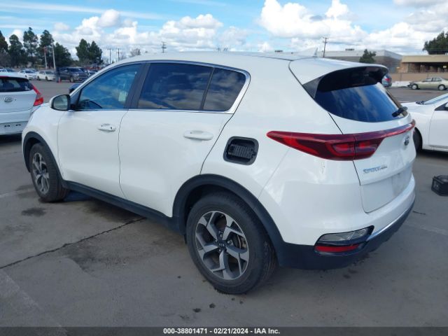 Photo 2 VIN: KNDPM3AC7M7904972 - KIA SPORTAGE 