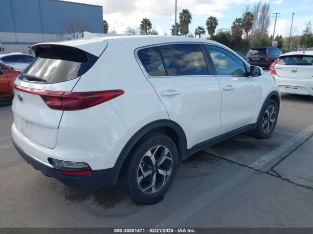 Photo 3 VIN: KNDPM3AC7M7904972 - KIA SPORTAGE 