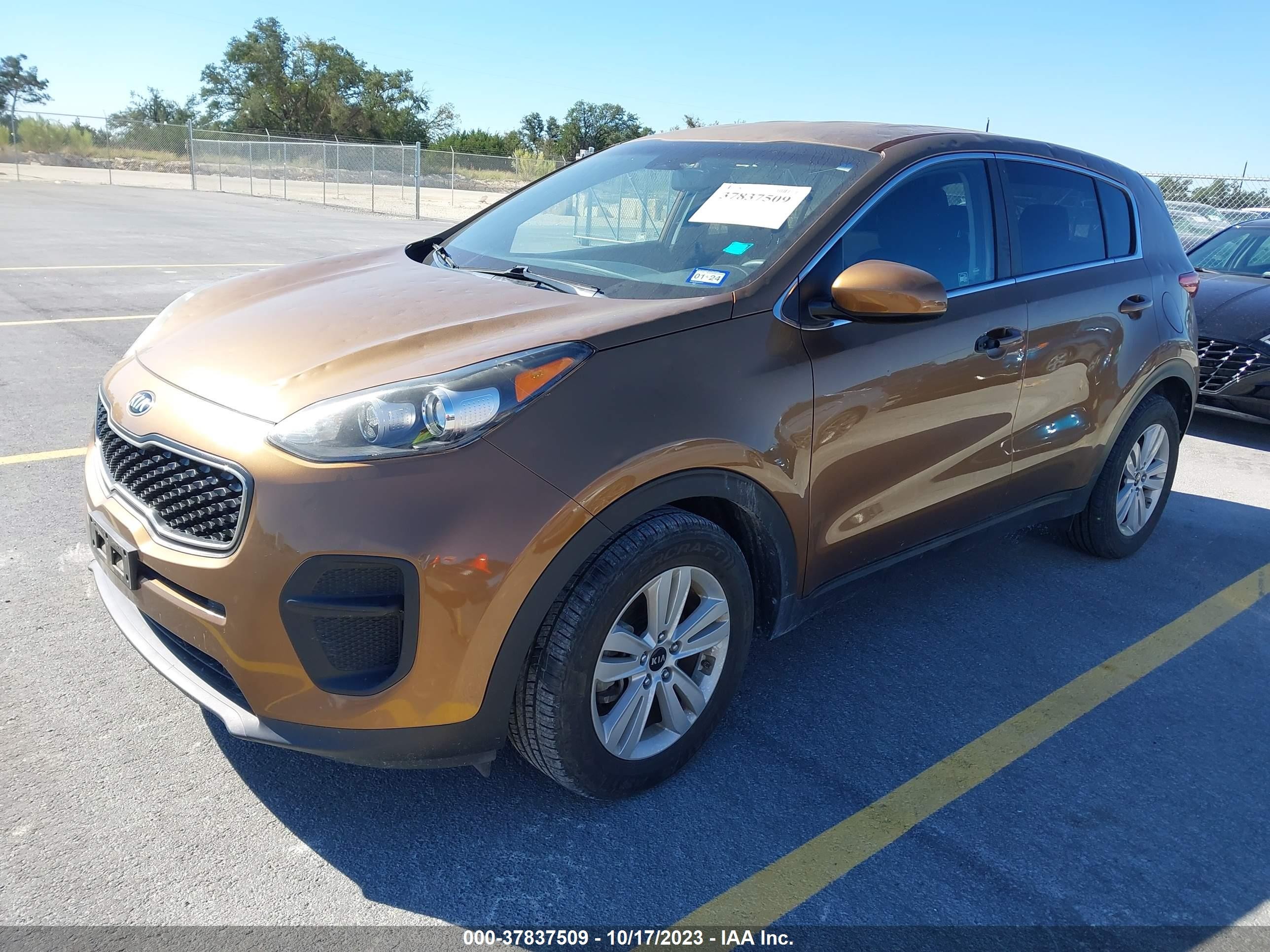 Photo 1 VIN: KNDPM3AC8H7076209 - KIA SPORTAGE 