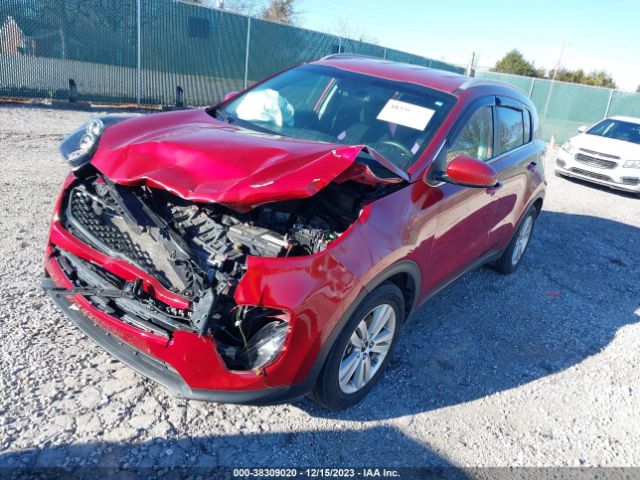 Photo 1 VIN: KNDPM3AC8J7483470 - KIA SPORTAGE 