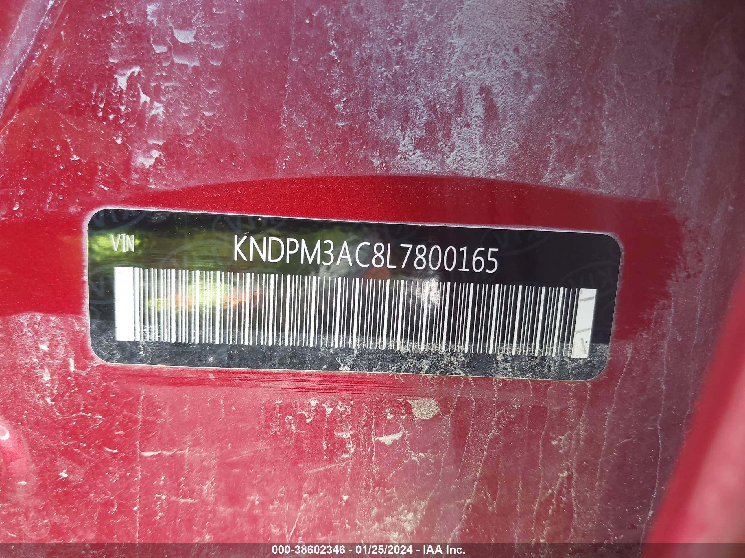 Photo 8 VIN: KNDPM3AC8L7800165 - KIA SPORTAGE 