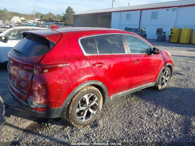 Photo 3 VIN: KNDPM3AC8L7828676 - KIA SPORTAGE 