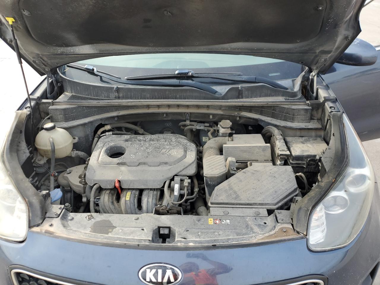 Photo 11 VIN: KNDPM3AC9H7117737 - KIA SPORTAGE 