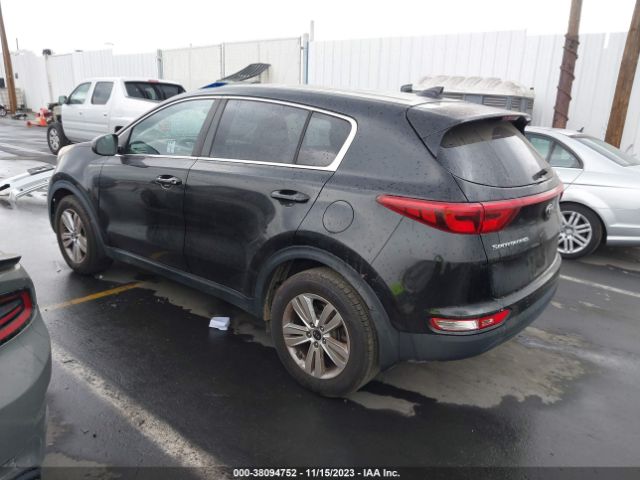 Photo 2 VIN: KNDPM3AC9H7147787 - KIA SPORTAGE 