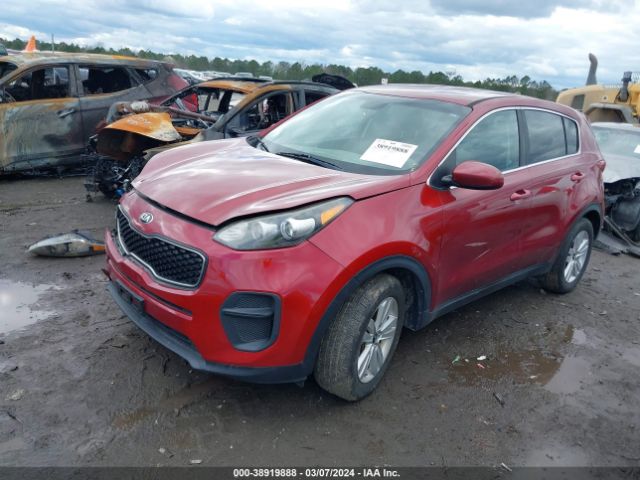 Photo 1 VIN: KNDPM3AC9H7175556 - KIA SPORTAGE 