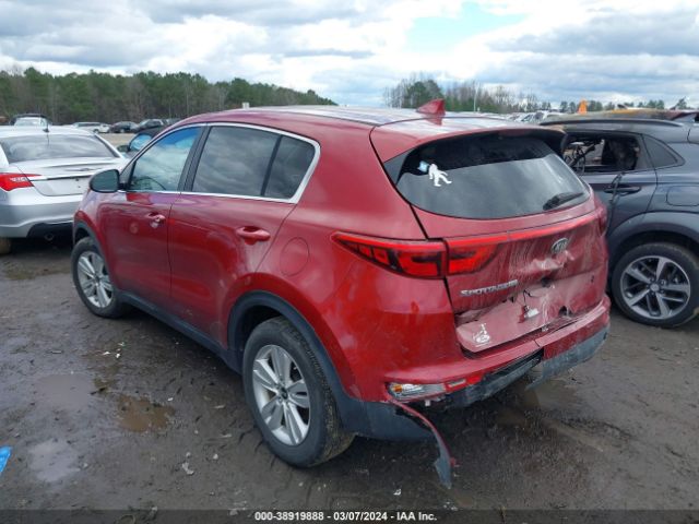 Photo 2 VIN: KNDPM3AC9H7175556 - KIA SPORTAGE 